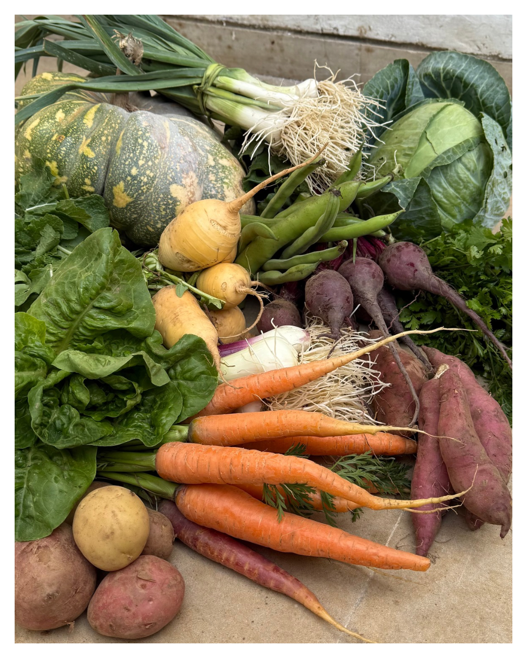 PANIER MOYEN BIO (10Kg)