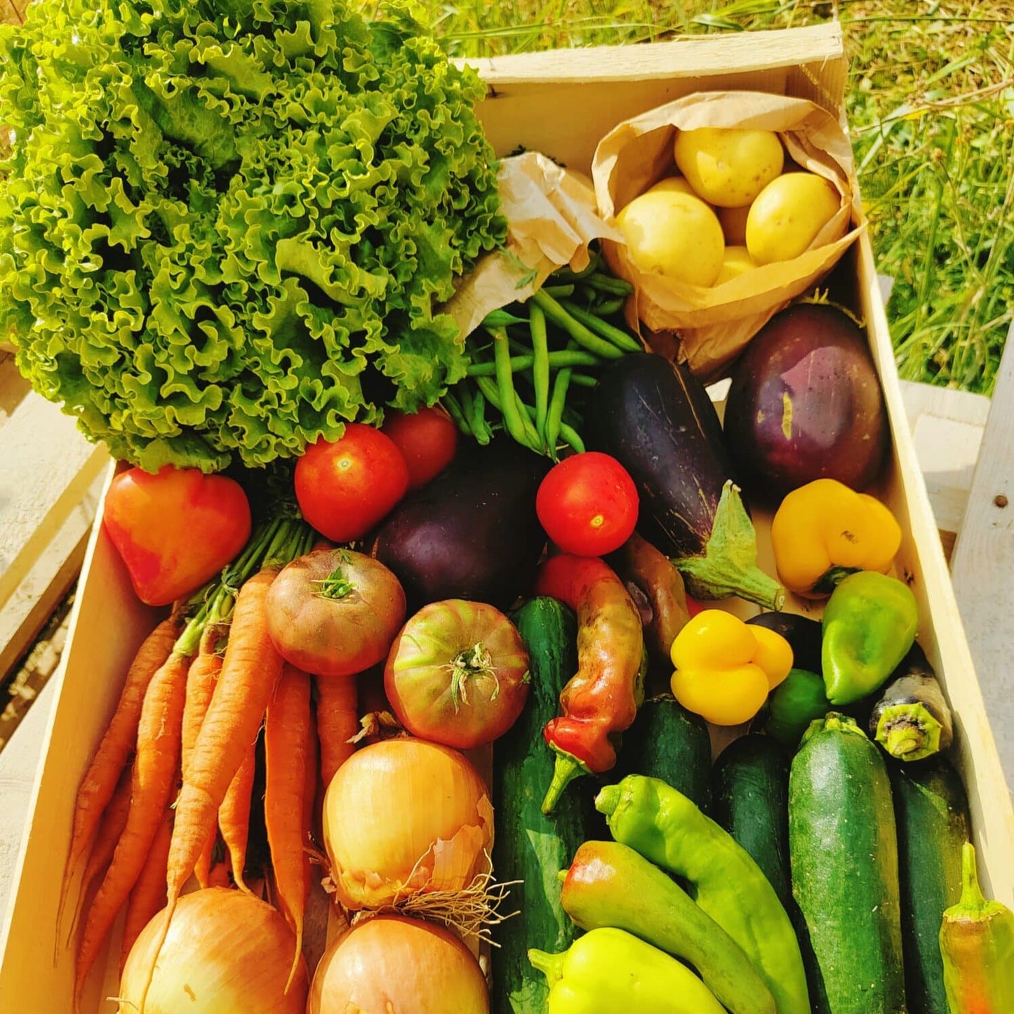 PETIT PANIER BIO (6Kg)