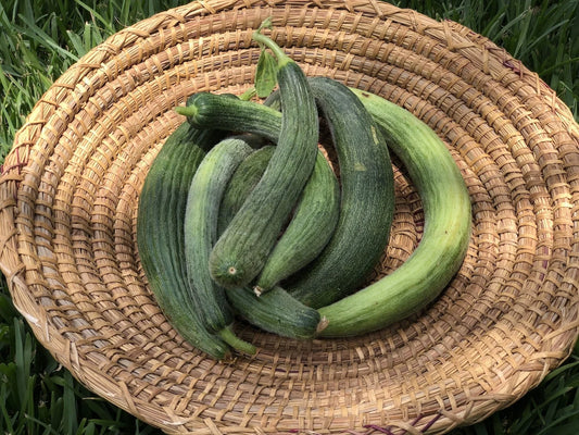 (1Kg) FEGGOUS الفكوس