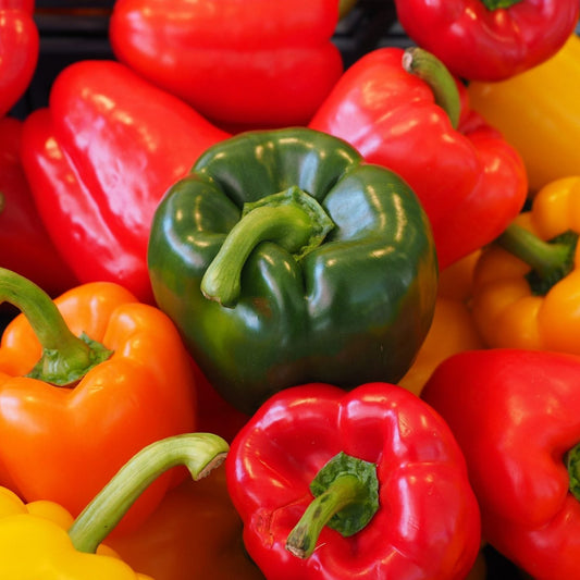 (1Kg) Poivron الفلفل الحلو