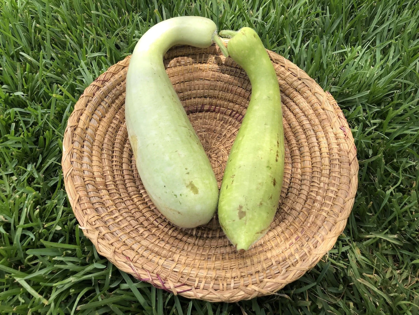 (1Kg) SLAOUI. السلاوي