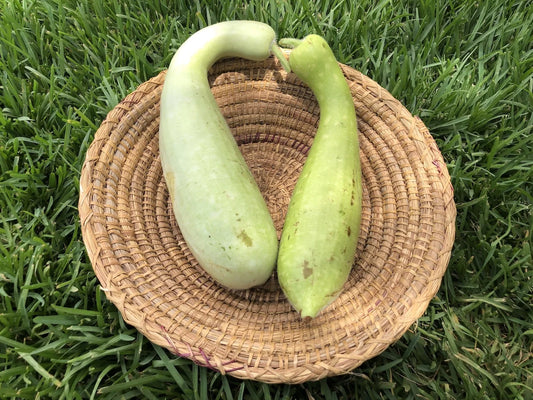 (1Kg) SLAOUI. السلاوي